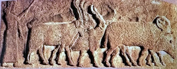 Steinrelief: Links steht ein Hirte mit langem Gewand und Stab, vor ihm ziehen mehrere Schafe und Widder mit gewundenen Hörnern nach rechts.