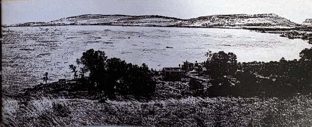 Schwarzweißfoto: Blick über eine weite Wasserfläche auf flache, lang gestreckte Berge am Horizont; im Vordergrund dunkle Bäume und Gebüsch an einem Uferhang.